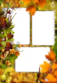 Foto Effekt från kategori Höst № 176614