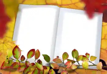 Foto Effekt från kategori Höst № 182190