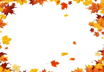 Foto Effekt från kategori Höst № 190559