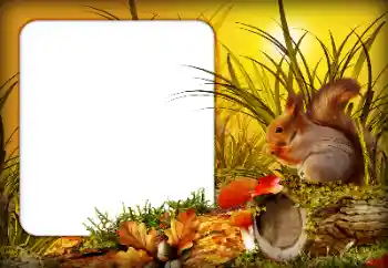 Foto Effekt från kategori Höst № 190592