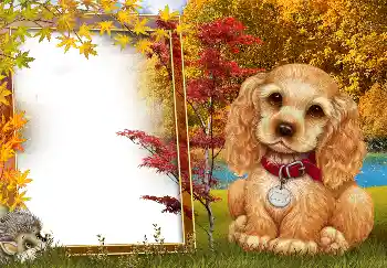 Foto Effekt från kategori Höst № 190594