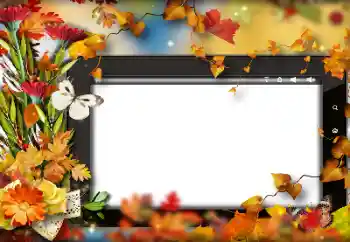 Foto Effekt från kategori Höst № 191705