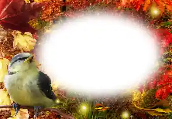 Foto Effekt från kategori Höst № 191761 Foto Effekt från kategori Höst № 191761