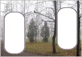 Foto Effekt från kategori Höst № 191770