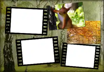 Foto Effekt från kategori Höst № 192848