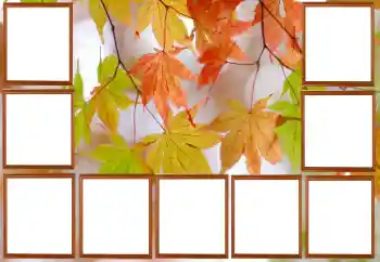 Foto Effekt från kategori Höst № 195267