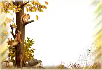 Foto Effekt från kategori Höst № 196642