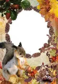 Foto Effekt från kategori Höst № 2011 Foto Effekt från kategori Höst № 2011