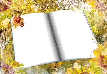 Foto Effekt från kategori Höst № 2016 Foto Effekt från kategori Höst № 2016