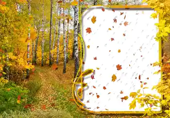 Foto Effekt från kategori Höst № 2029 Foto Effekt från kategori Höst № 2029