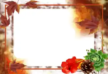 Foto Effekt från kategori Höst № 31707 Foto Effekt från kategori Höst № 31707