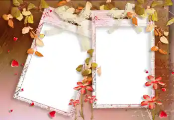 Foto Effekt från kategori Höst № 33988