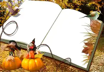 Foto Effekt från kategori Höst № 34030