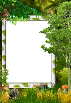 Foto Effekt från kategori Höst № 34731