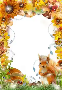 Foto Effekt från kategori Höst № 34732