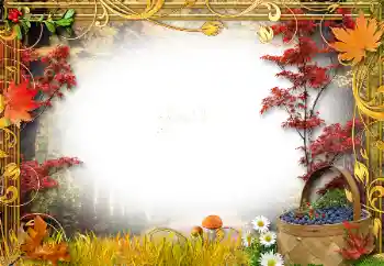 Foto Effekt från kategori Höst № 34761