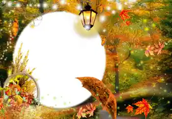 Foto Effekt från kategori Höst № 35073