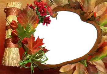 Foto Effekt från kategori Höst № 5620 Foto Effekt från kategori Höst № 5620