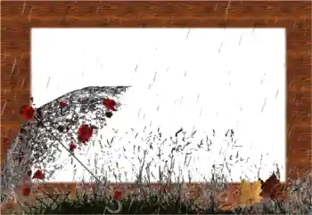 Foto Effekt från kategori Höst № 56541