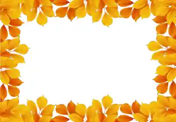 Foto Effekt från kategori Höst № 58881