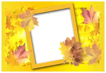 Foto Effekt från kategori Höst № 58883