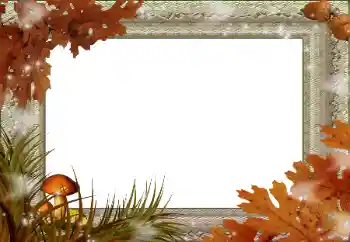 Foto Effekt från kategori Höst № 59045