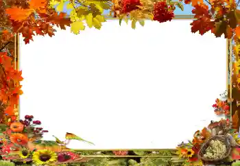 Foto Effekt från kategori Höst № 62654