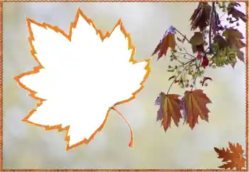 Foto Effekt från kategori Höst № 80359