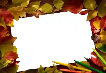 Foto Effekt från kategori Höst № 81689