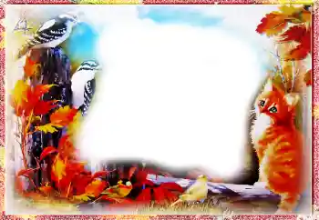 Foto Effekt från kategori Höst № 86557