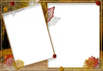 Foto Effekt från kategori Höst № 9719 Foto Effekt från kategori Höst № 9719