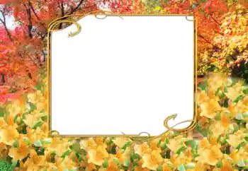 Foto Effekt från kategori Höst № 9797 Foto Effekt från kategori Höst № 9797