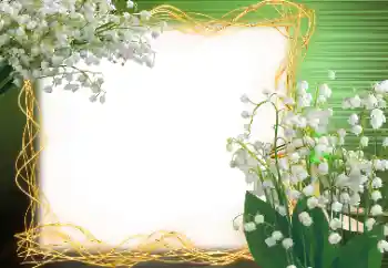 Foto Effekt från kategori Vår № 113120 Foto Effekt från kategori Vår № 113120