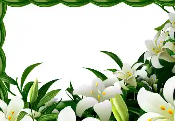 Foto Effekt från kategori Vår № 113129 Foto Effekt från kategori Vår № 113129