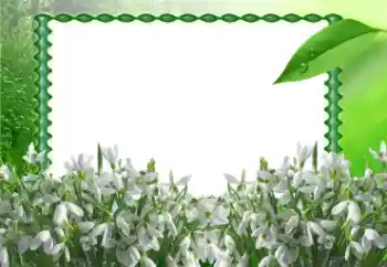 Foto Effekt från kategori Vår № 11868 Foto Effekt från kategori Vår № 11868