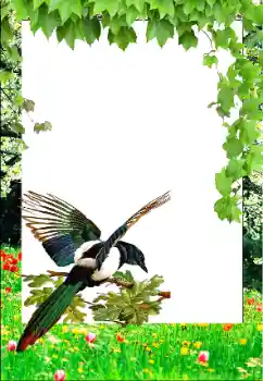 Foto Effekt från kategori Vår № 147761 Foto Effekt från kategori Vår № 147761