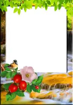 Foto Effekt från kategori Vår № 148967 Foto Effekt från kategori Vår № 148967