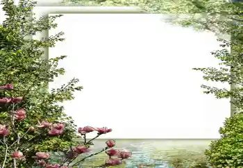 Foto Effekt från kategori Vår № 149187 Foto Effekt från kategori Vår № 149187