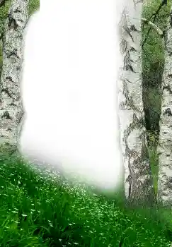 Foto Effekt från kategori Vår № 149305