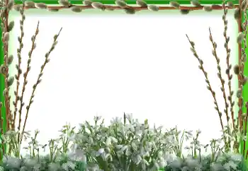 Foto Effekt från kategori Vår № 197647