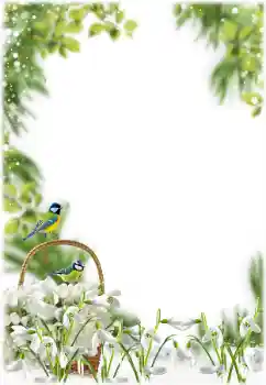 Foto Effekt från kategori Vår № 205355