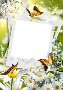 Foto Effekt från kategori Vår № 4611 Foto Effekt från kategori Vår № 4611