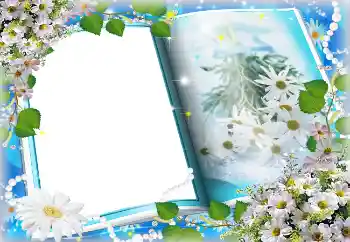 Foto Effekt från kategori Vår № 4621 Foto Effekt från kategori Vår № 4621