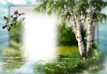 Foto Effekt från kategori Vår № 49552 Foto Effekt från kategori Vår № 49552