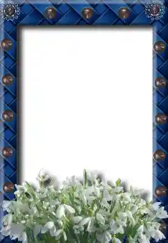 Foto Effekt från kategori Vår № 8734