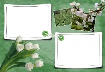 Foto Effekt från kategori Vår № 93095 Foto Effekt från kategori Vår № 93095