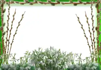 Foto Effekt från kategori Vår № 94595 Foto Effekt från kategori Vår № 94595