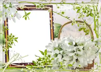 Foto Effekt från kategori Vår № 980 Foto Effekt från kategori Vår № 980