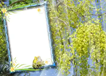 Foto Effekt från kategori Vår № 981 Foto Effekt från kategori Vår № 981