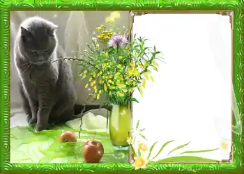 Foto Effekt från kategori Vår № 982 Foto Effekt från kategori Vår № 982